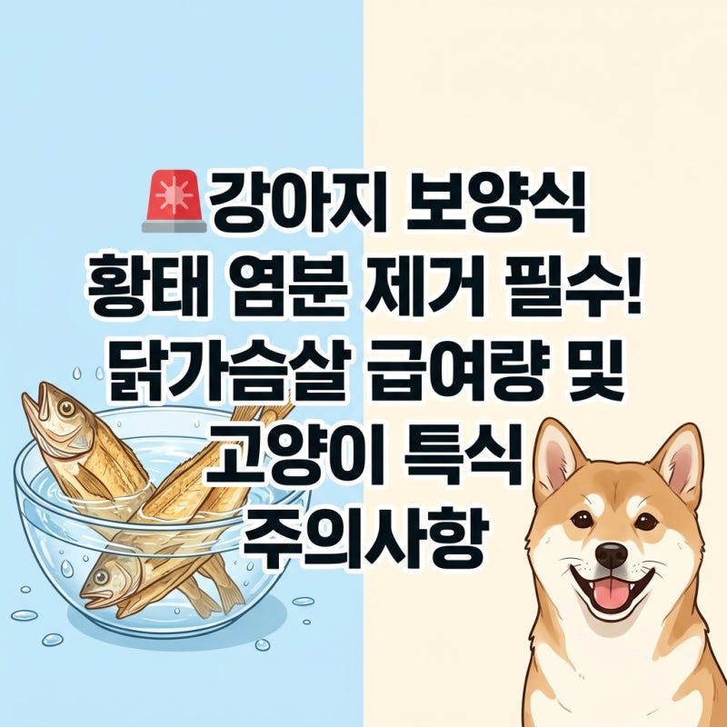 강아지 보양식 황태 염분 제거 필수! 닭가슴살 급여량과 고양이 특식 주의사항 최신 가이드