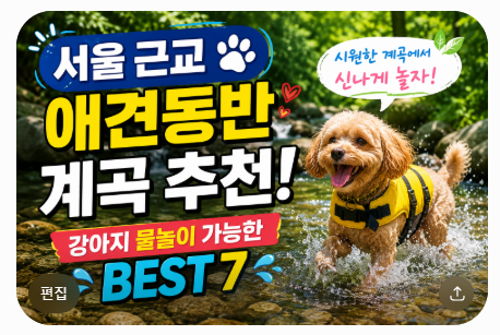 계곡애견쉼터 사진 3