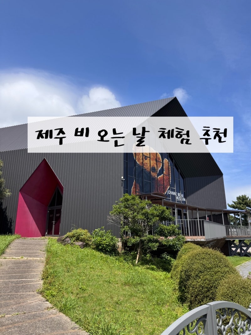 [서귀포] 제주 실내 체험 제주 여행 중 역대급 체험 세상에 하나뿐인 곰인형 제주도어린이체....