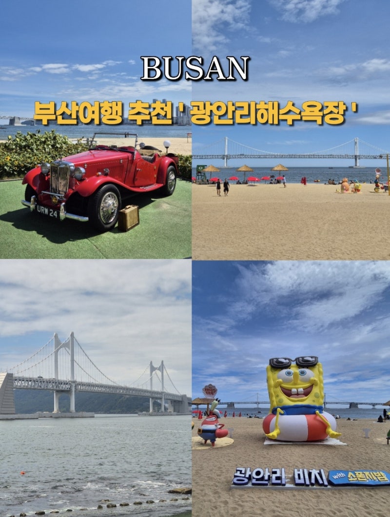 부산여행 추천｜스폰지밥 포토존부터 바다도서관까지 광안리 즐기기