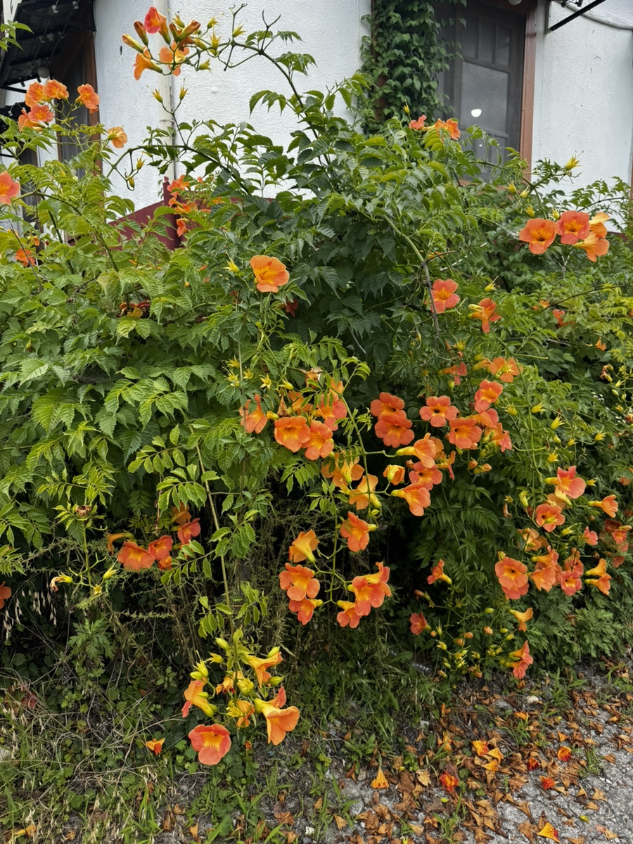 면도장 사진 3