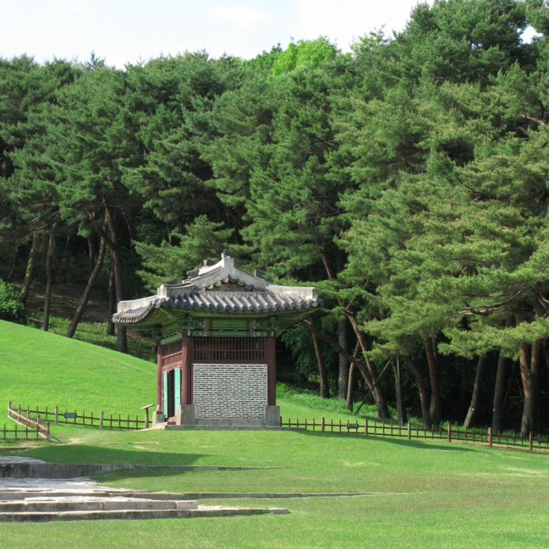 캐논 파워샷 g9 작례 모음(풍경,음식,인물 사진)
