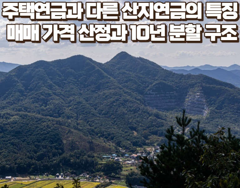 규제 묶인 내 산으로 노후 자금 만들기: 산지연금 신청 조건과 지급 구조