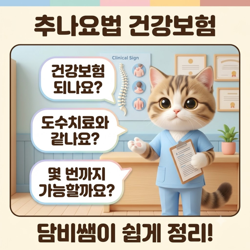 [담비쌤의 병원 제도 안내] 추나요법은 건강보험이 될까? 연 20회 횟수·도수치료 차이 정리