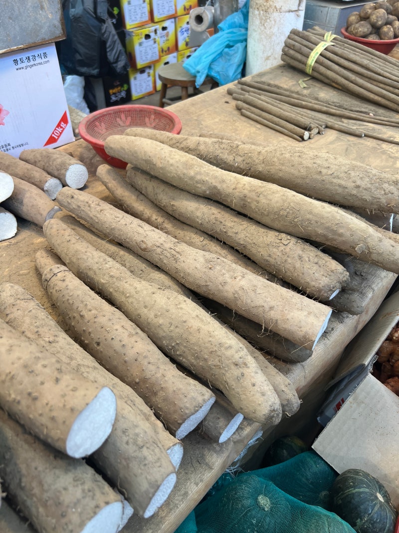 매일 먹는 마, 알고 먹으면 더 좋다! 효능과 올바른 보관법