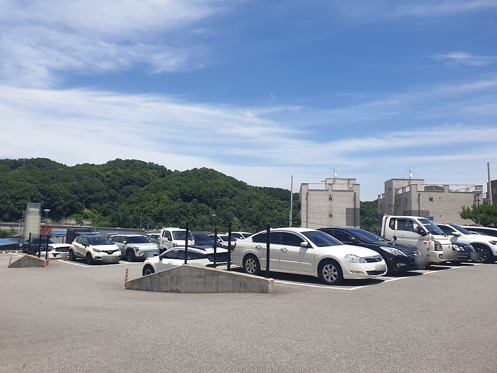 쭈꾸미킹 용인점 사진 2