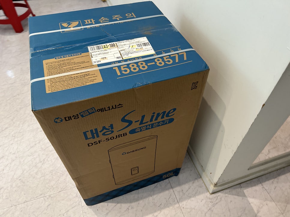 대성 사진 5
