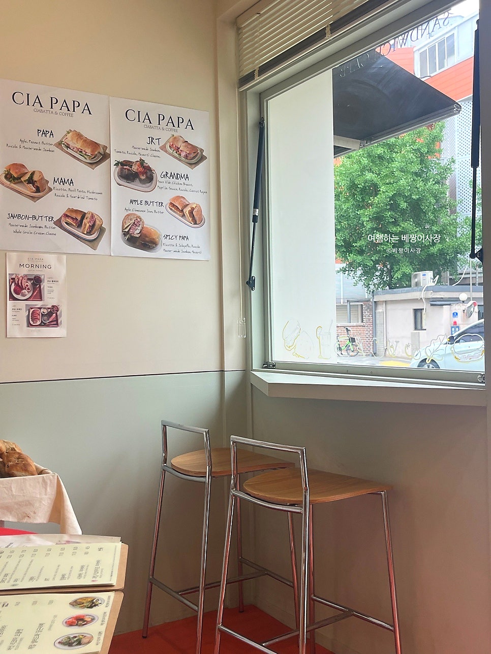 치아파파 사진 5