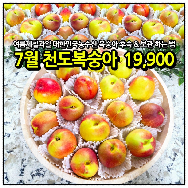 대한민국농수산 천도복숭아 : 후숙 방법과 짓무름 방지 보관법 (다이소 유산지 활용 꿀팁)