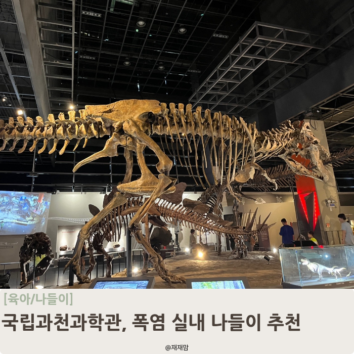 국립과천과학관 아이와 가볼 만한 곳, 폭염 실내 나들이 추천, 주차부터 상설전시관 코스까....