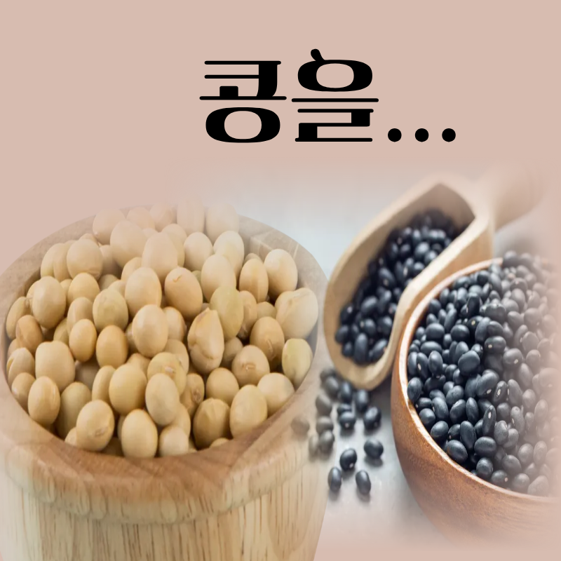 밭에서 나는 소고기, 콩! 종류별 효능·영양성분·섭취 주의사항
