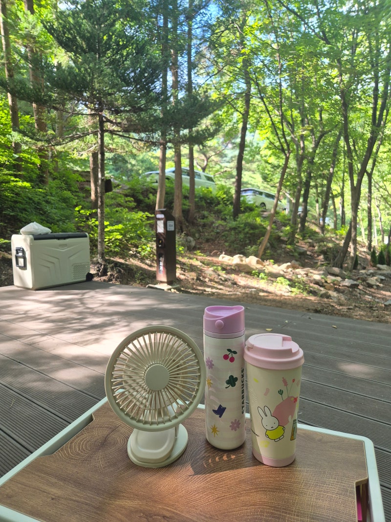 경북청도 운문산자연휴양림 새단장 야영데크 304후기 데크위치.물놀이.체험 정보