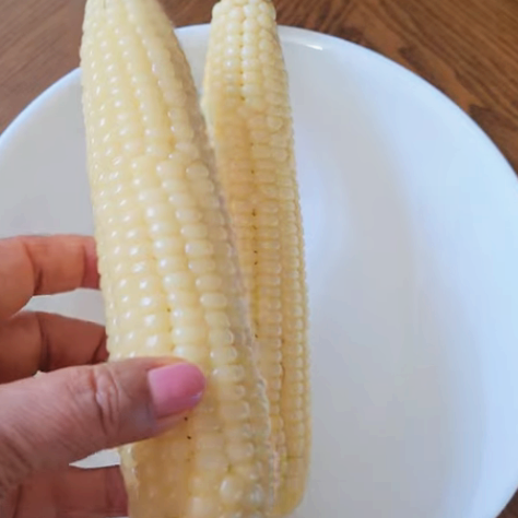 알파카월드 사진 2