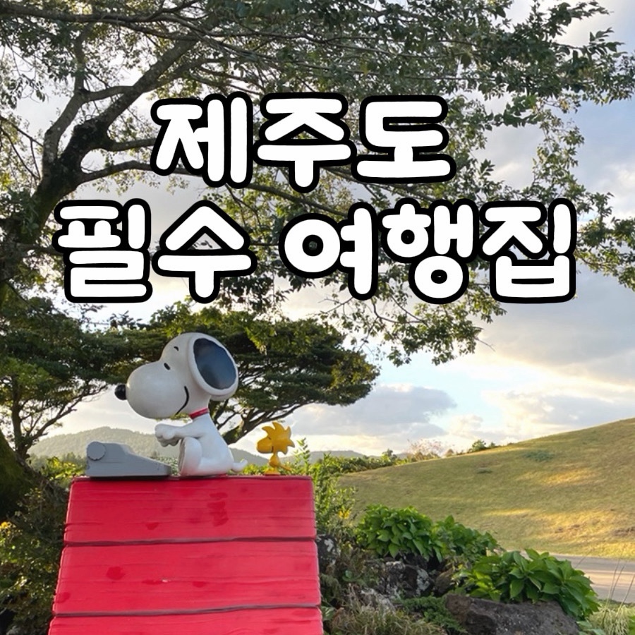달고기네은갈치 사진 1