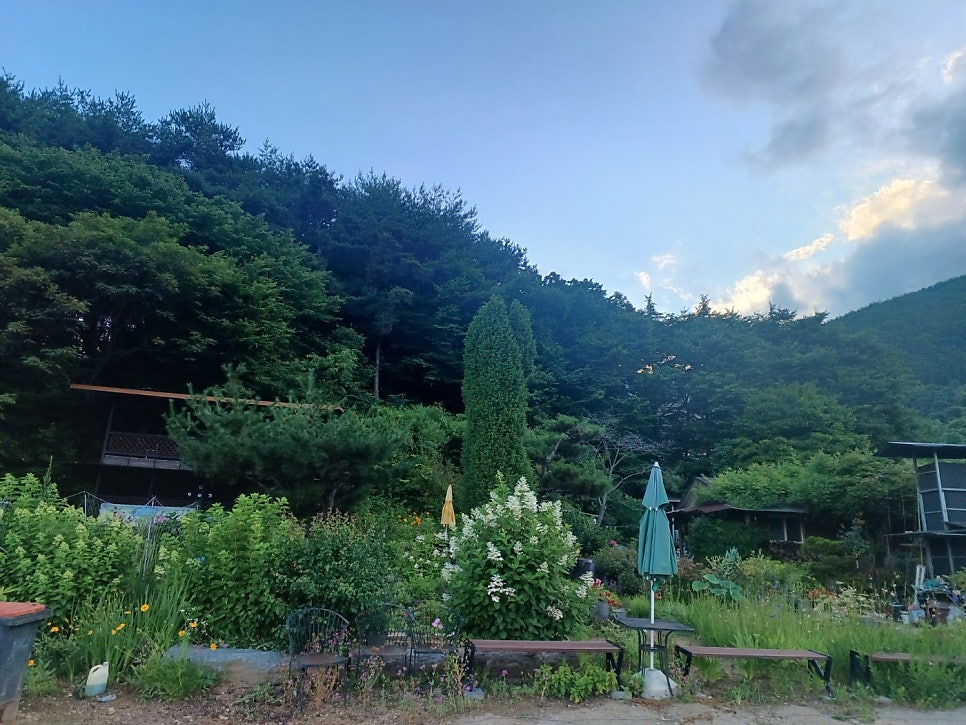 숲속의섬 사진 2