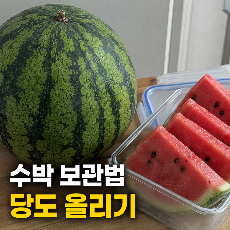 수박 냉장고에 넣으면 단맛이 떨어질까? 보관법 종결합니다
