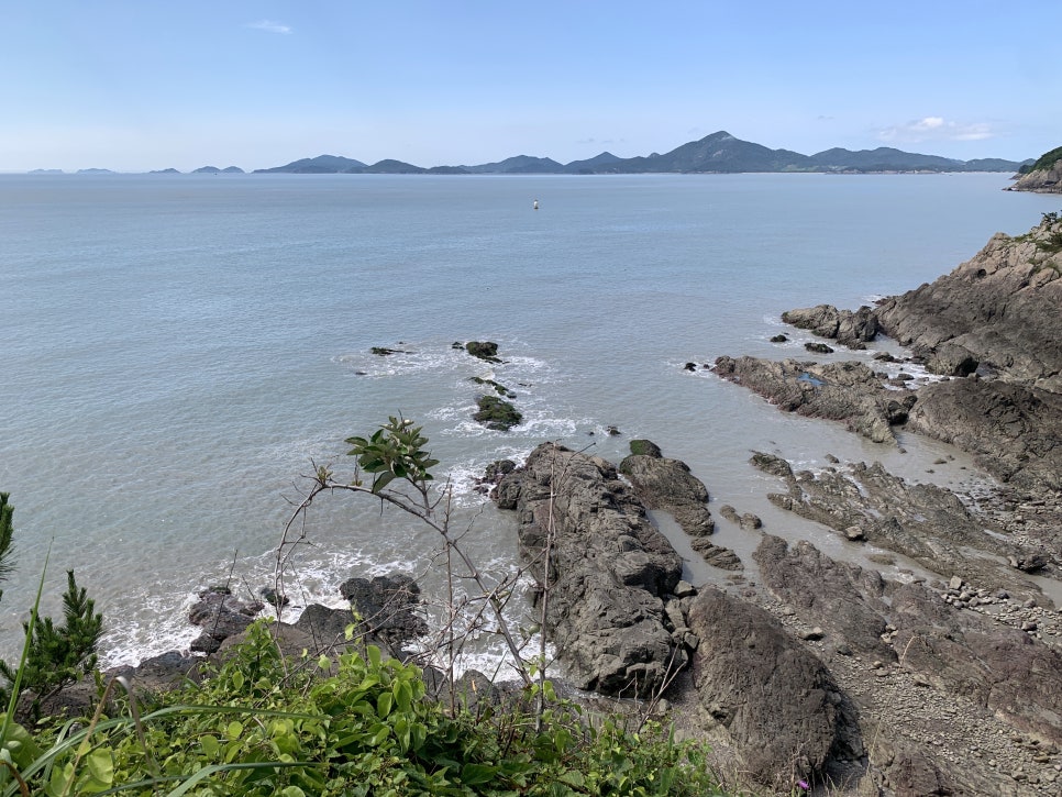 보물섬 사진 5