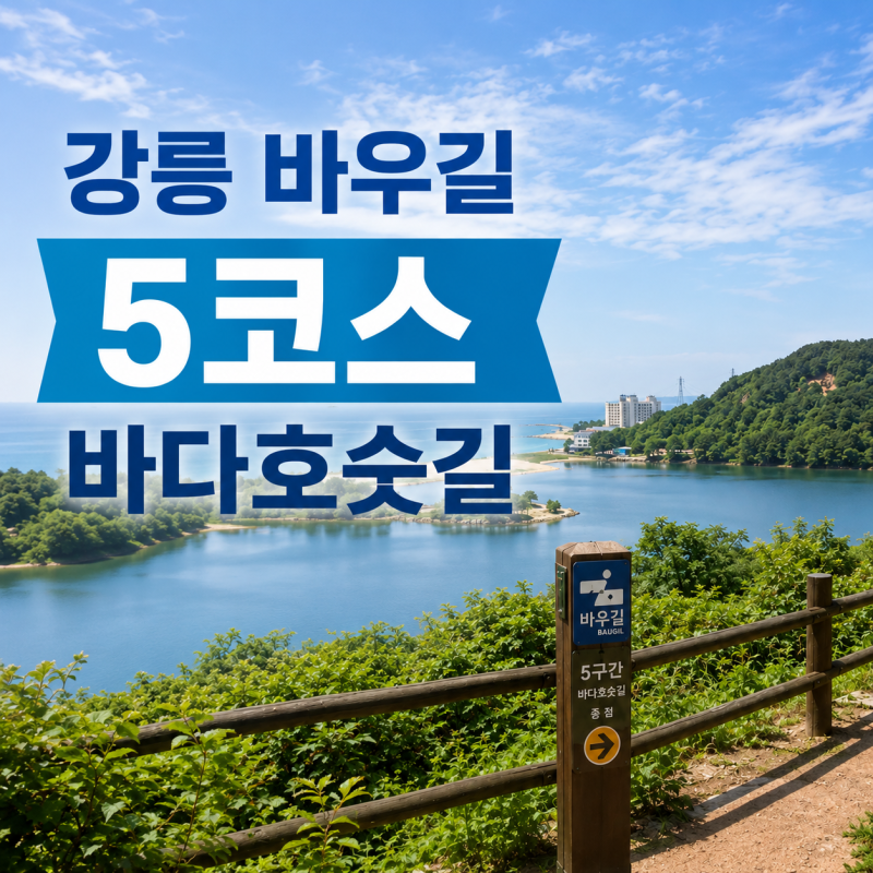 [강릉 바우길 5코스] 바다호숫길 트레킹 가이드: 실제 난이도와 소요시간, 주요 코스 꿀팁 총....