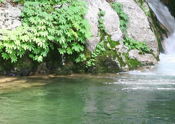 화악산풍경 사진 1