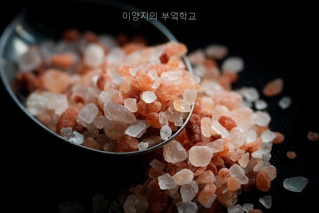 이양지의부엌학교 사진 2