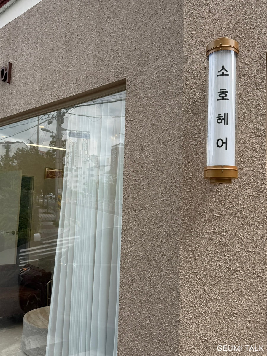 소호 사진 2