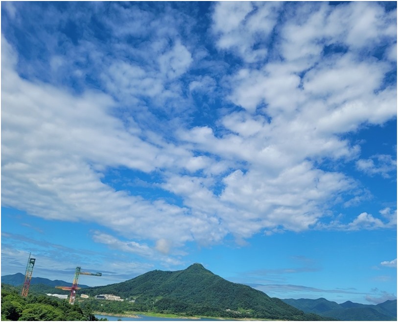 첼로 사진 1