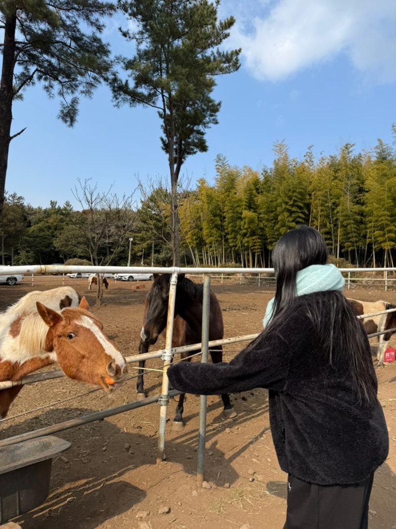 제주 서귀포 목장카페 :: 대한목장, 대형 이색체험 카페