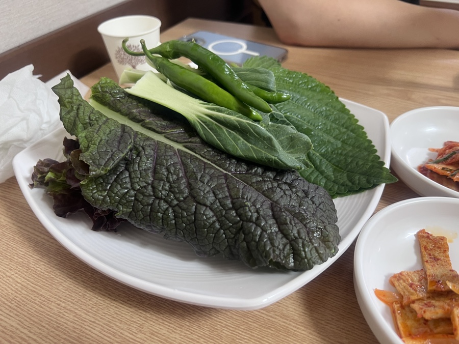 산채로 사진 5