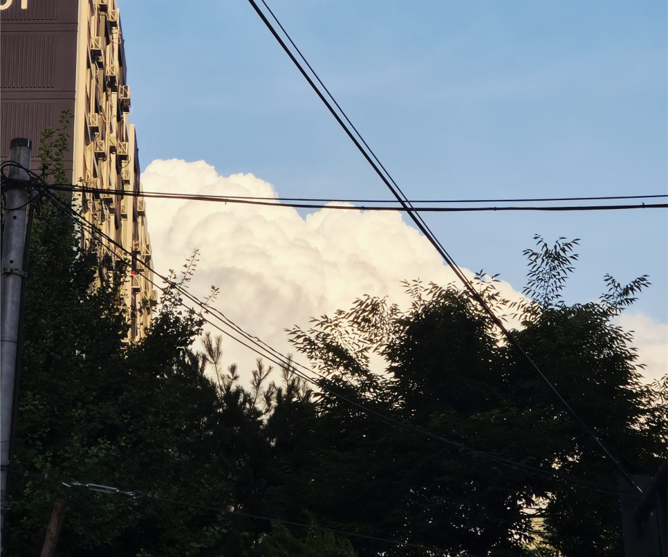 하이델 사진 1