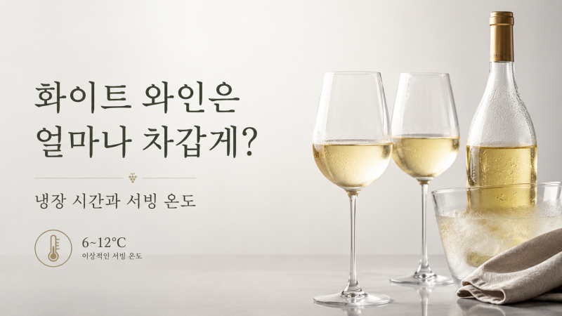 화이트 와인은 얼마나 차갑게? 냉장 시간과 서빙 온도