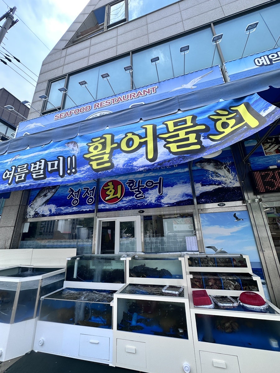 청정회활어 사진 2