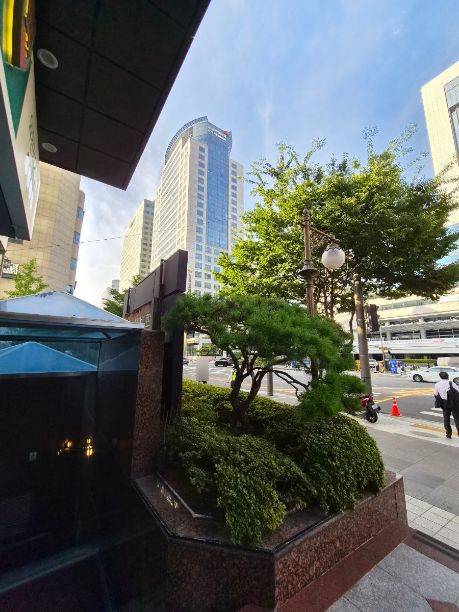 마노디셰프 삼성점 사진 6