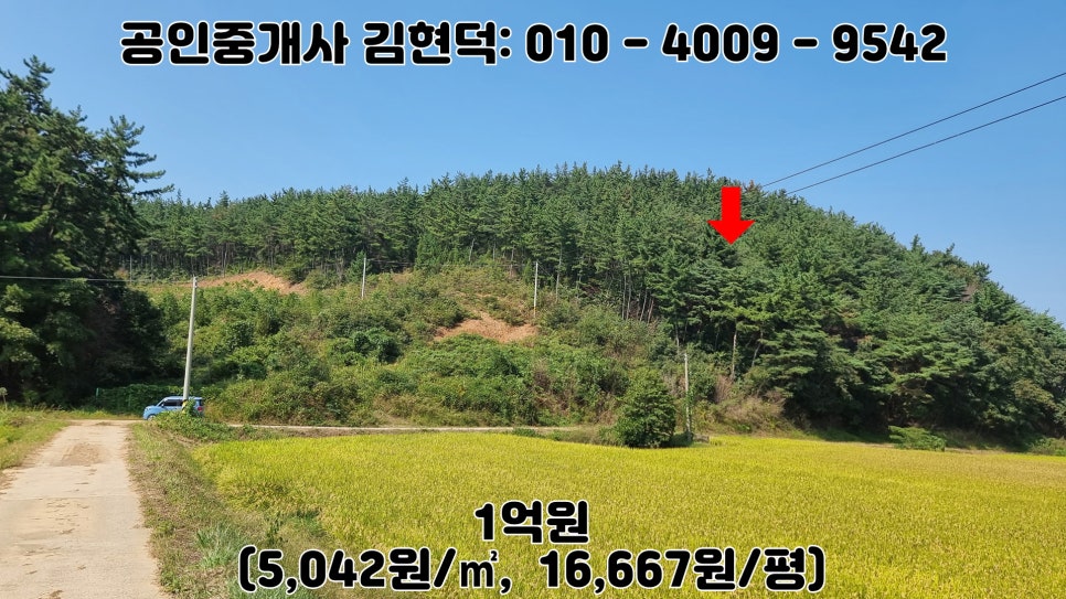 산골 사진 6