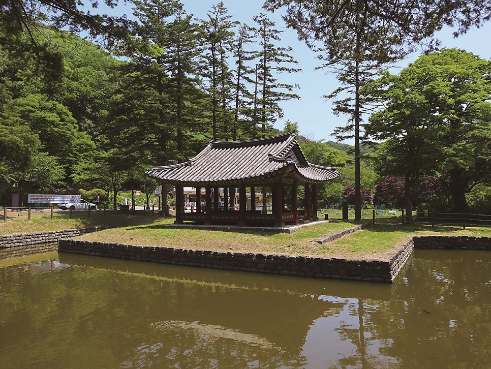 봄날 사진 3