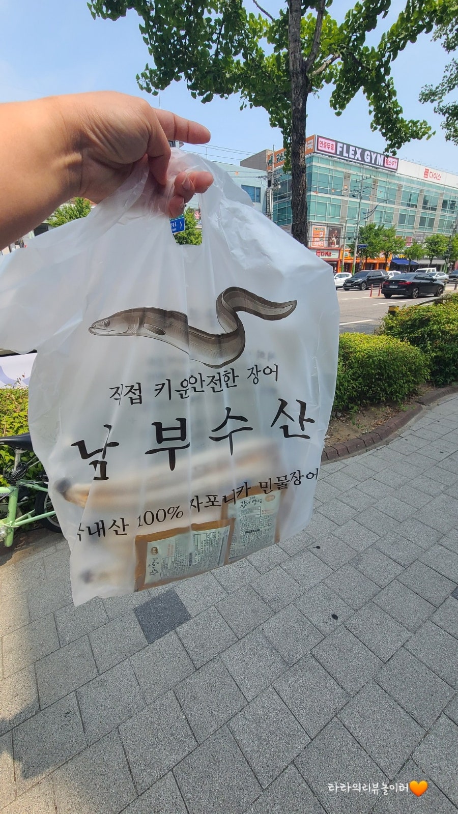 동강숯불민물장어 사진 5