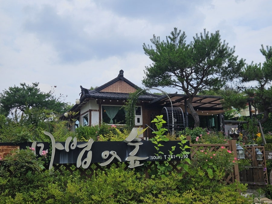 마법의숲 사진 1