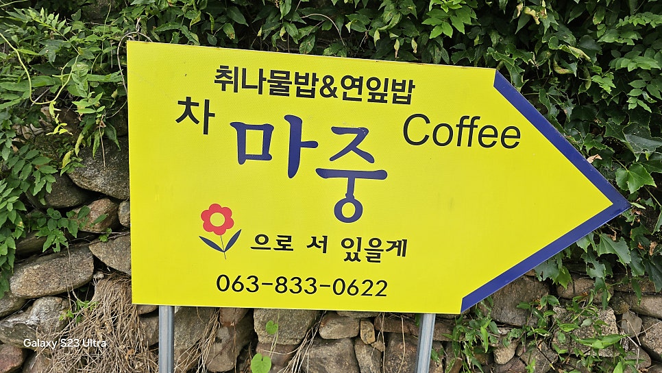 마중 사진 4