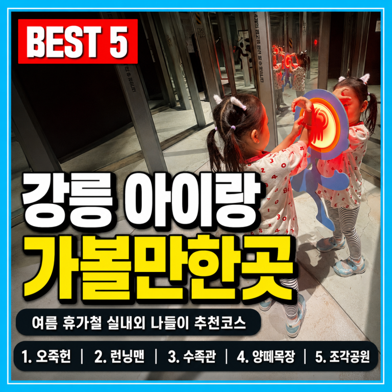 강릉 아이랑 가볼만한곳 주말 실내외 나들이 추천 코스
