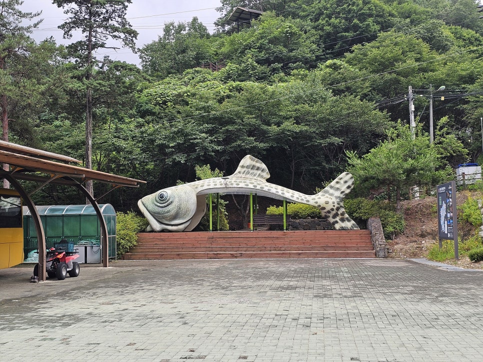 평창 동강 사진 5