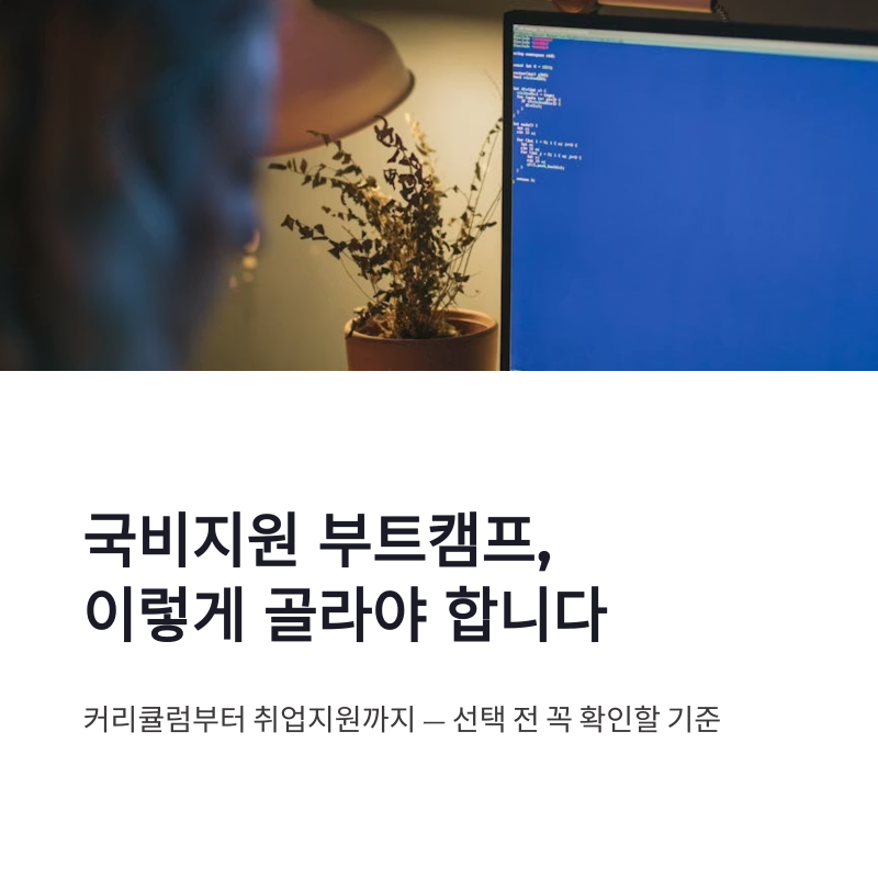 국비지원 부트캠프 고르는 법, 커리큘럼부터 취업지원까지 확인한 기준