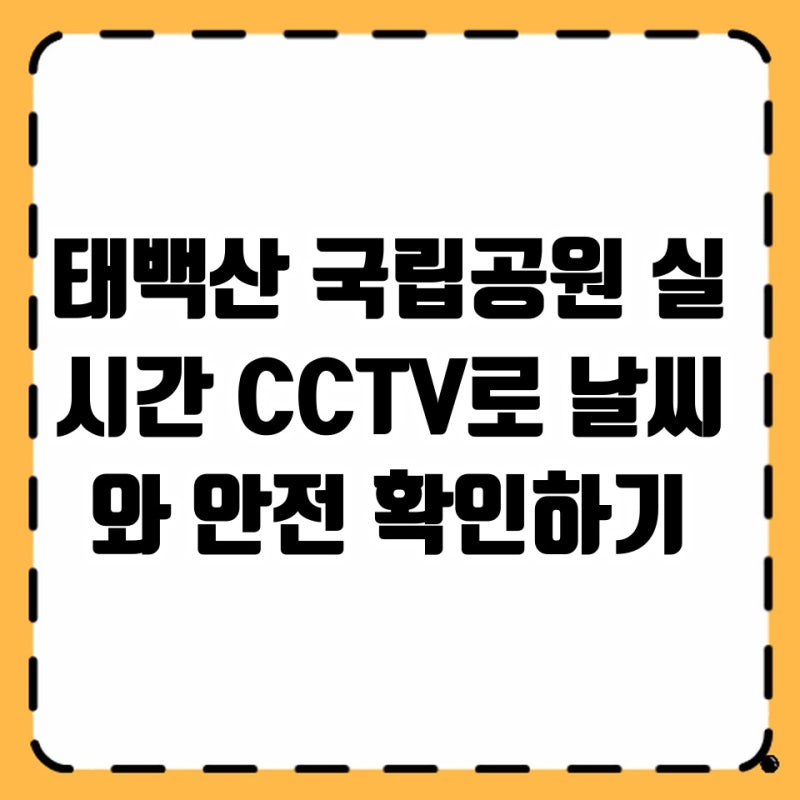 태백산 국립공원 실시간 CCTV로 날씨와 안전 확인하기