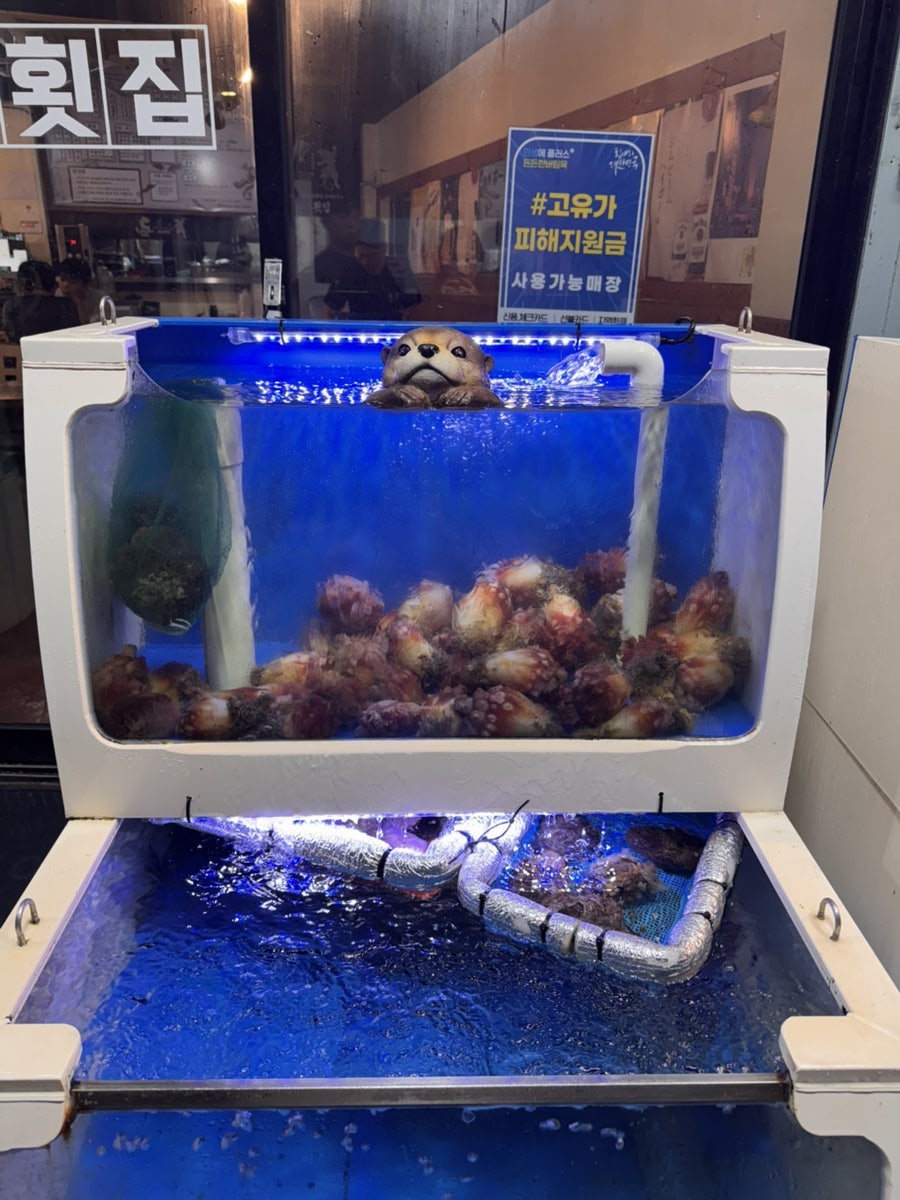 용호횟집 사진 4