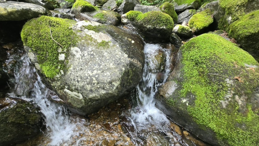소양댐산채바우 사진 5