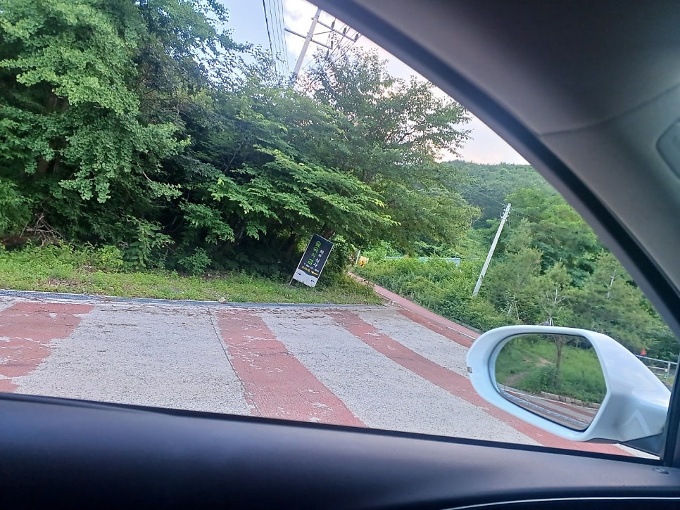 숲속의섬 사진 1