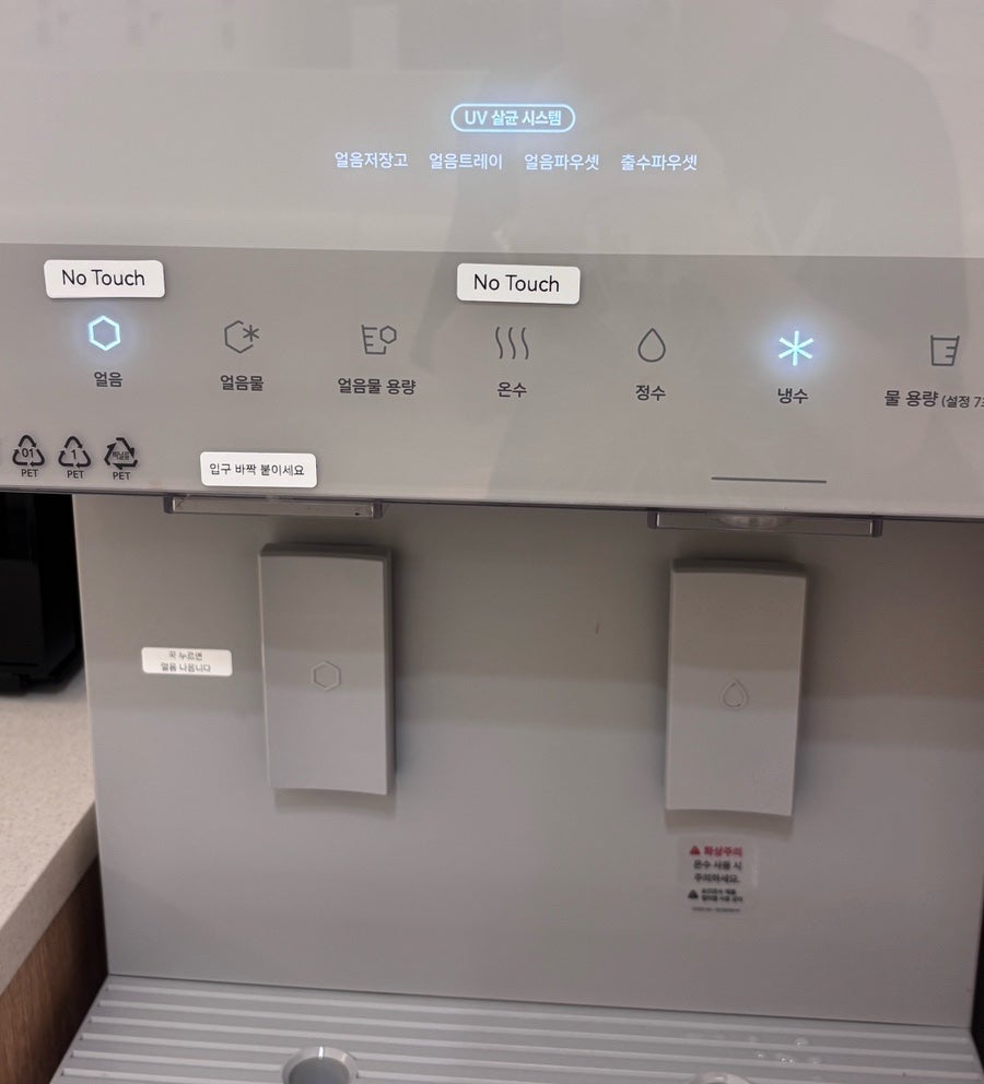 에버그린 사진 5