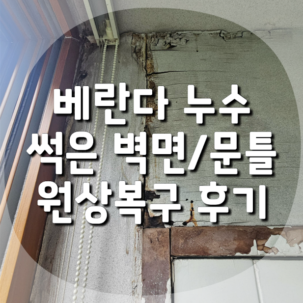 처음처럼 사진 1