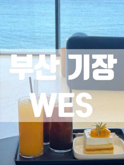 [부산 기장] 기장오션뷰카페 WES 절경 보며 힐링하기 좋은 곳✨
