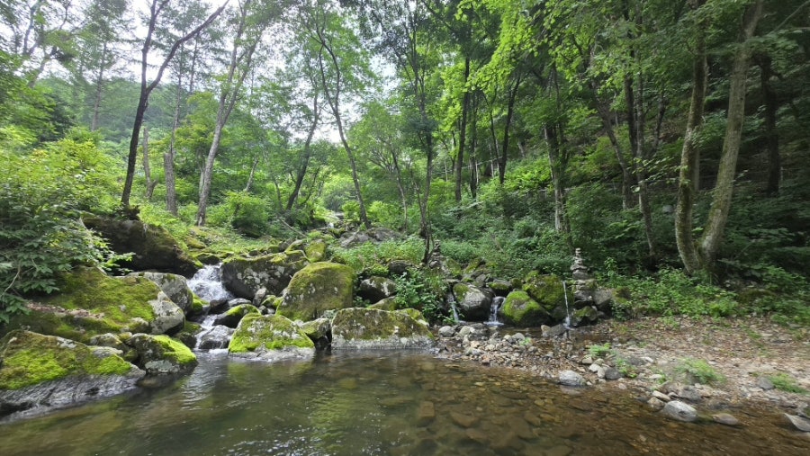 소양댐산채바우 사진 4