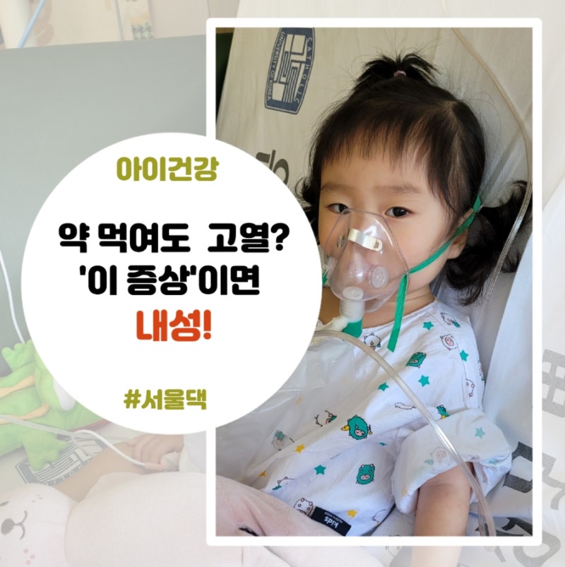 2026년 마이코플라즈마 폐렴 유행, 질병청 기준 항생제 내성 확인법과 부모 대처법 총정리
