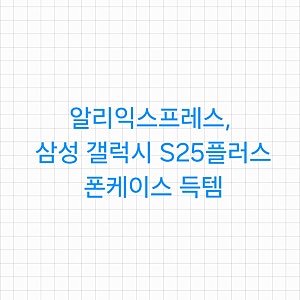알리익스프레스, 삼성 갤럭시 S25플러스 폰케이스 득템